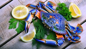 edible blue crab shell