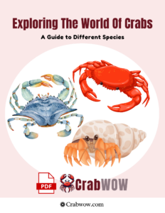 Exploring the World of Crabs A Guide to Different Species