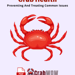 Crab Health Preventing And Treating Common Issues