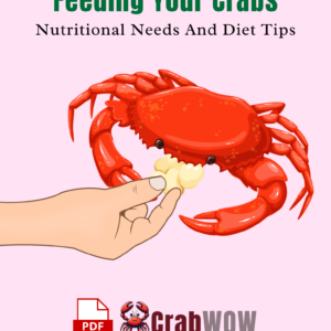 Feeding Your Crabs Nutritional Needs And Diet Tips