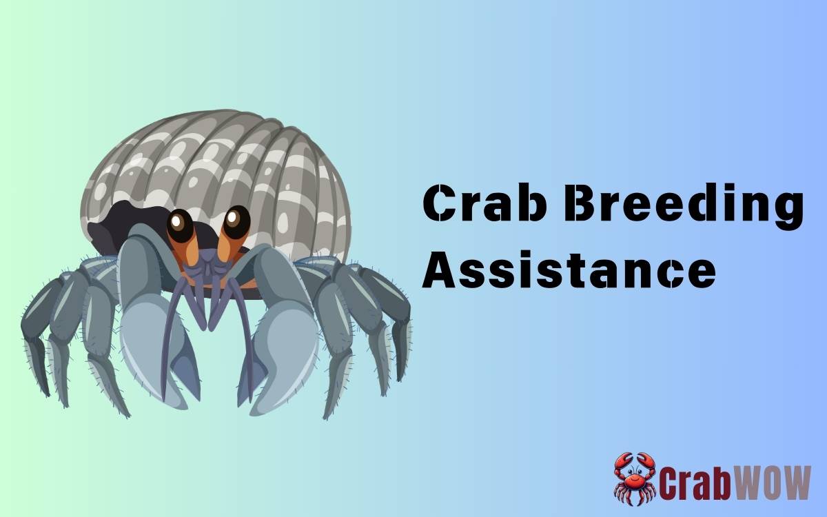 Crab Breeding Assistance