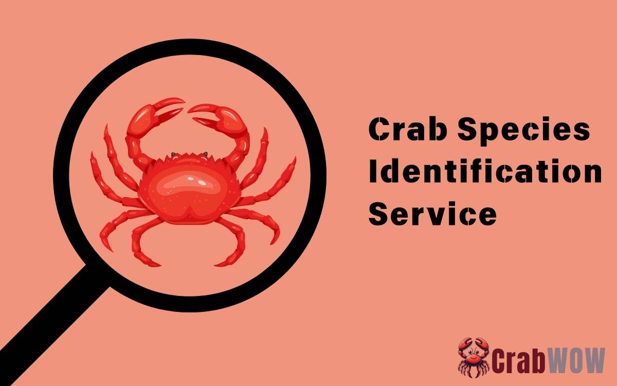 Crab Species Identification Service